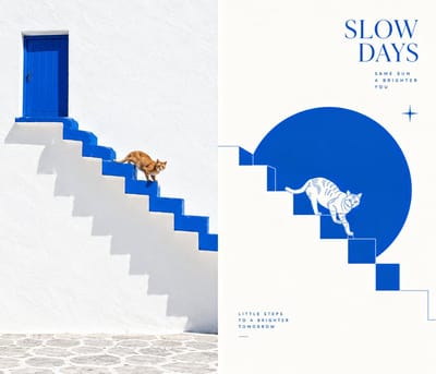 Photo-and-Line-Art Duo Poster