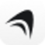 icon of Anything