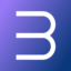 icon of Belva AI