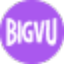 icon of BIGVU icon of BIGVU