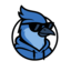 icon of Bluejay