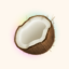 icon of Coconote