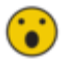 CrazyFace AI