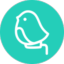icon of CuboAi Smart Baby Monitor icon of CuboAi Smart Baby Monitor