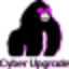 icon of CyberUpgrade icon of CyberUpgrade