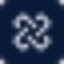 icon of Nexu