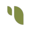 Sesame AI
