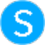 icon of Skiley