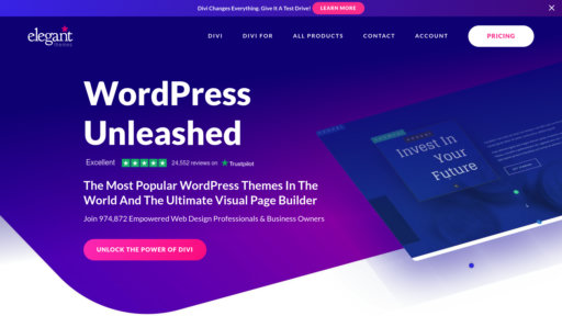 image of Elegant Themes Divi