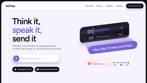 image of FlowVoice