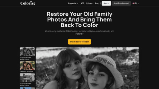image of ImageColorizer