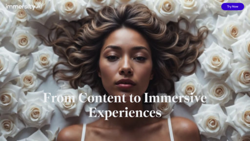 image of Immersity AI