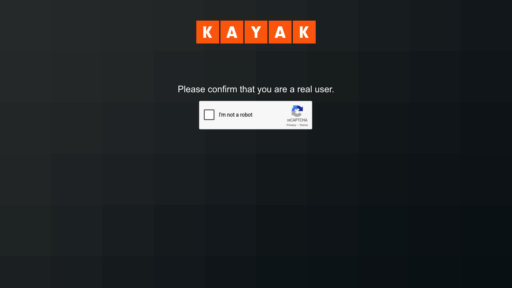 image of KAYAK.ai