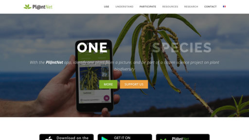 image of Pl@ntNet