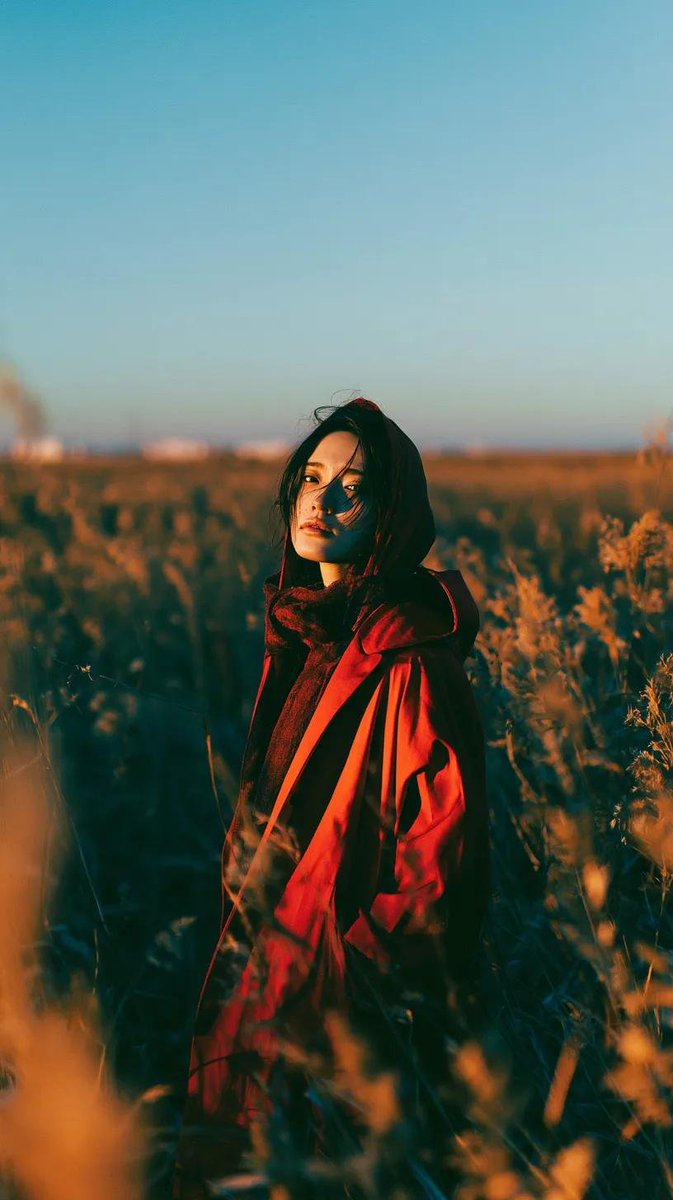 Cinematic Golden Field Portrait