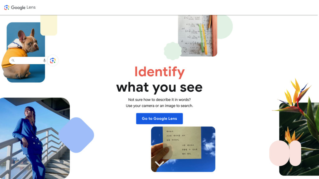 image for Socratic